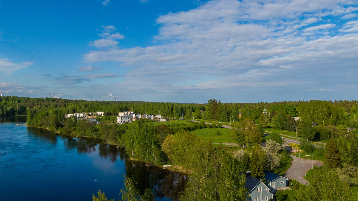 Ilmakuva Sienimäestä