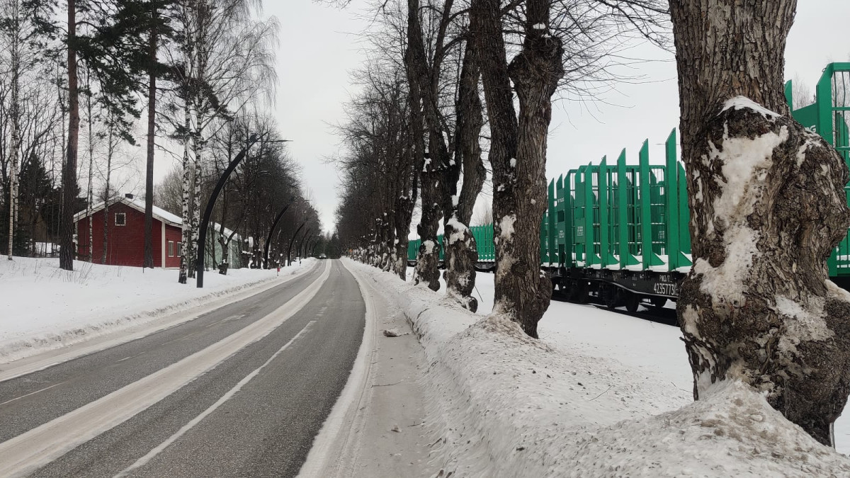 Vuoksentien, jonka reunoilla kasvaa lehmuksia.