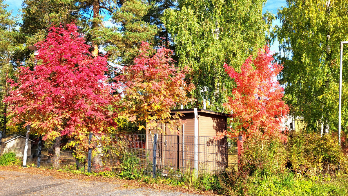 syksyinen mittauskoppi.