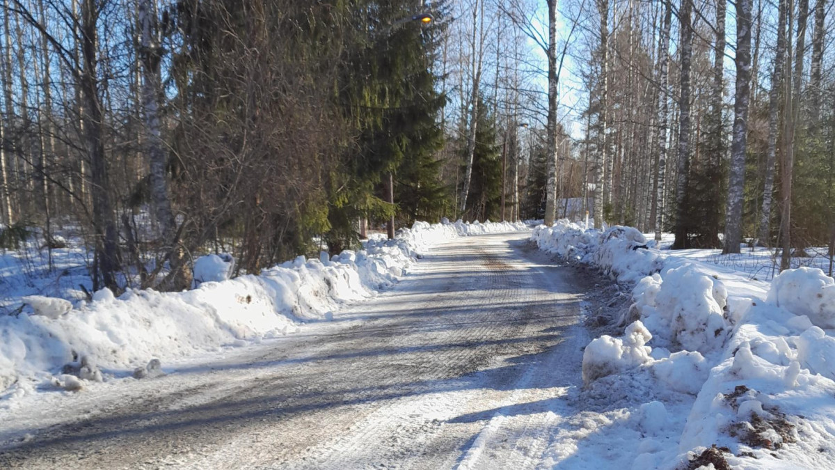 Metsää kevyenliikenteenväylän molemmin puolin keväthankien aikana.