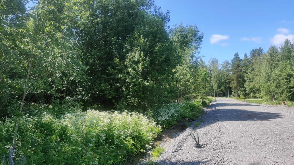 Katu ja tontti kesäisessä maisemassa.
