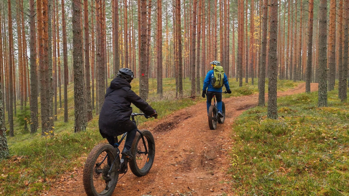 Pyöräilyä metsäpolulla.