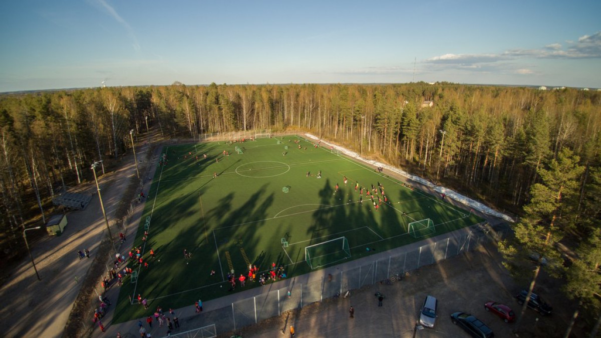 Ukonniemen tekonurmi.