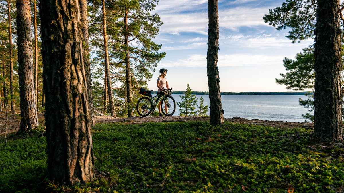 Metsää ja järveä sekä maasopyöräilijä.