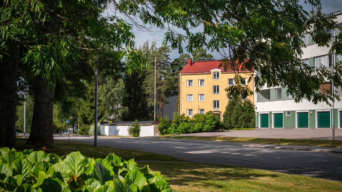 Etualalla vuorenkilpiä ja nurmikkoa, sitten katu ja rakennuksia sekä puita.