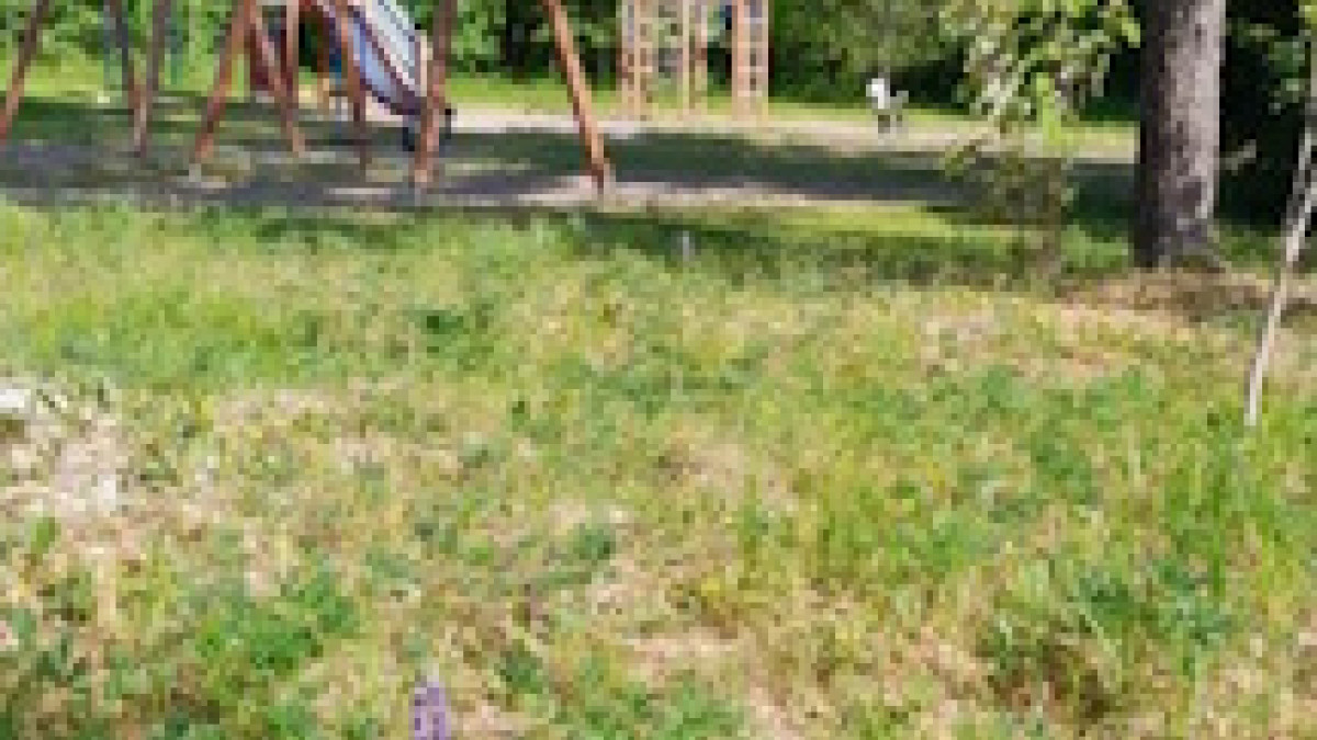Leikkipuisto lapsen kuvaamana.