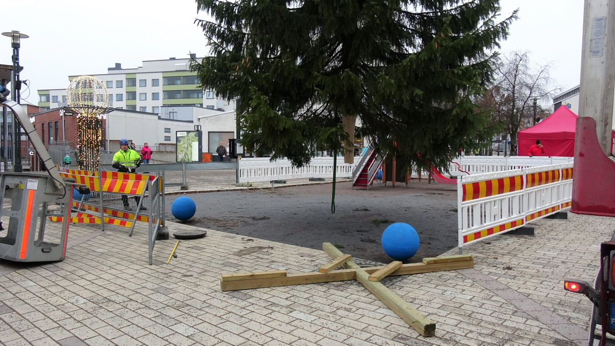 Komea kuusi roikkui hetken aikaa ilmassa ennen asettelua koloonsa
