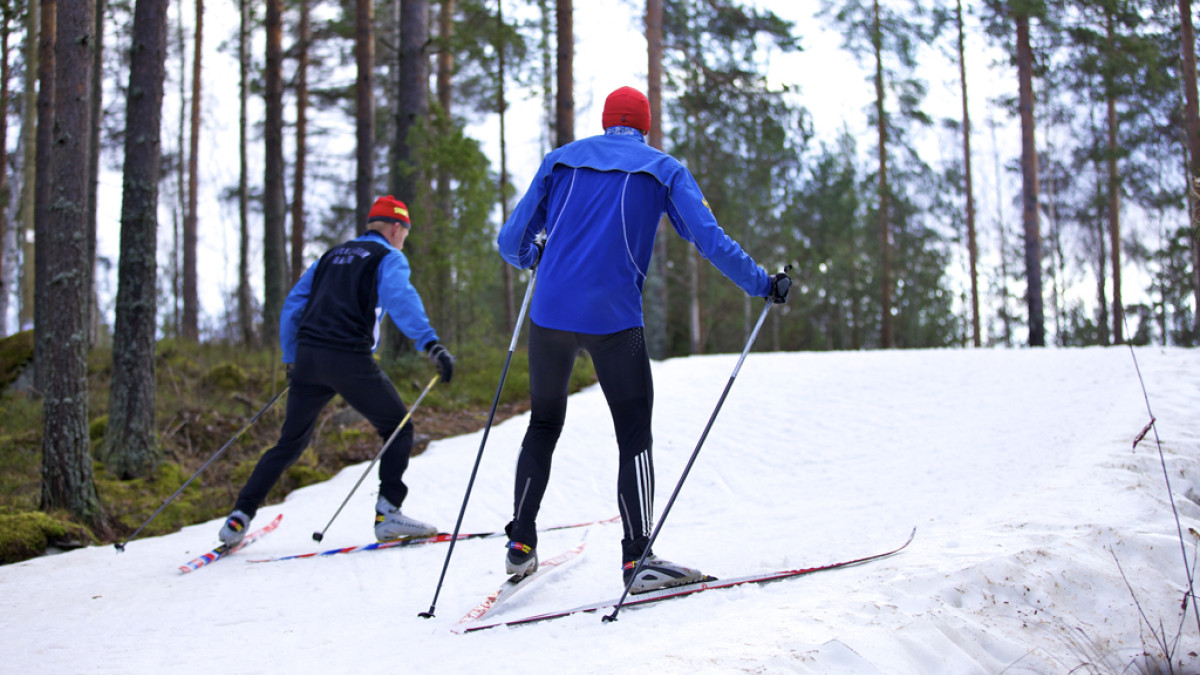 Hiihtäjiä ladulla.