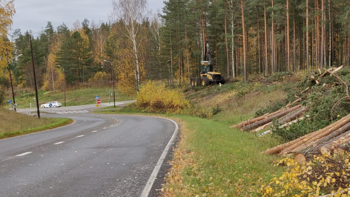 Asemäentien reunasta kaadettu puita, metsäkone työssä.