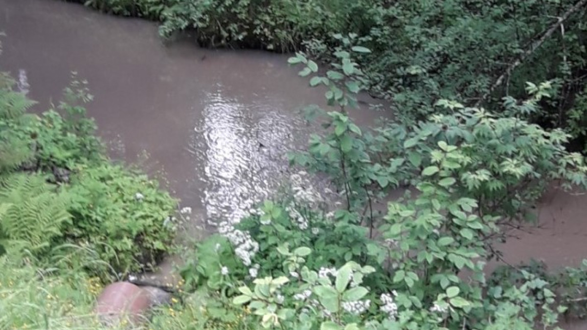 Pieni joki ja siihen laskeva putki ja kasvustoa 