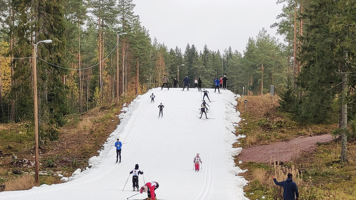 Latu lumettoman metsän keskellä, paljon hiihtäjiä ladulla.