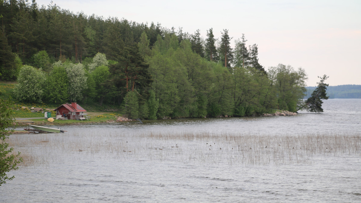 Rantamaisema.