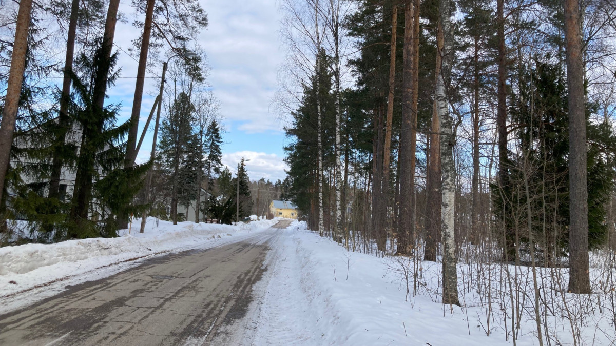 Tie, hankea ja metsää.