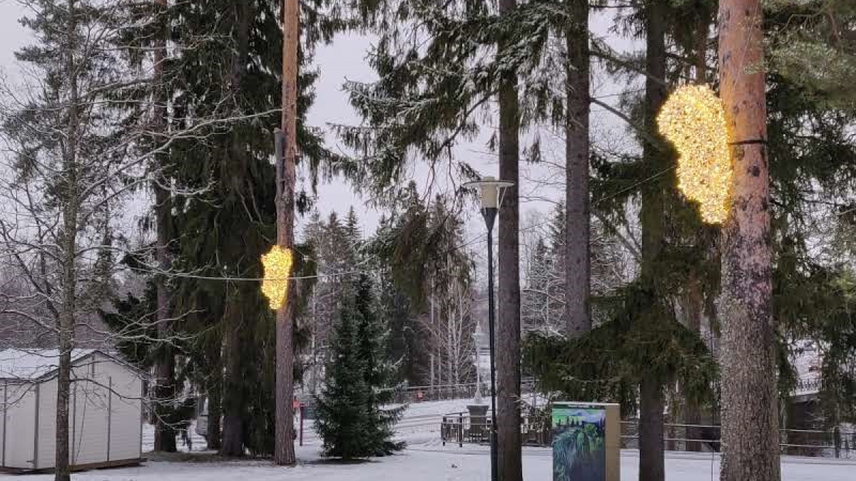 Kaksi valaistua nallea kiinnitetty mäntyihin.