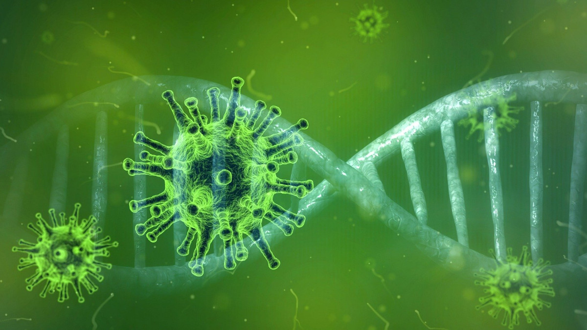 Viruksen ja DNA:n havainnekuva.