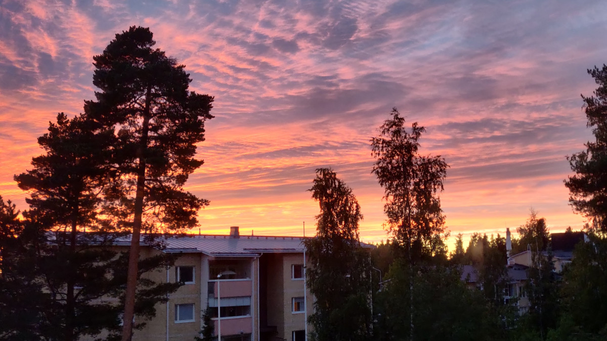 Puita, kerrostalo ja ilta-auringon vaaleanpunaiseksi värjäämä taivas.