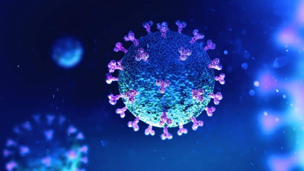 Koronavirus