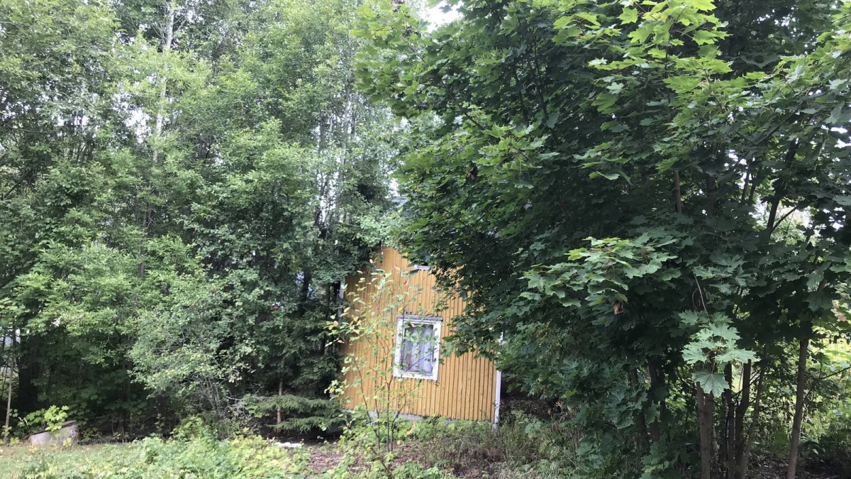 Nuijasuonkadun mökki on myynnissä.