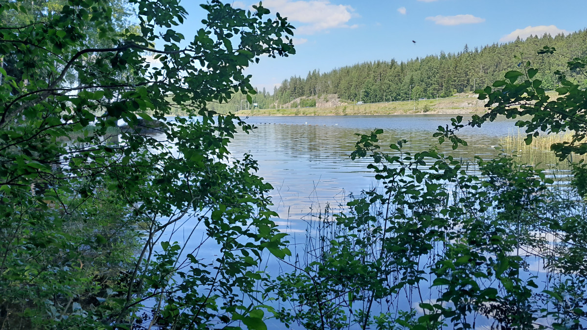 Pintaan noussut paineviemäriputki Törönlahdella.