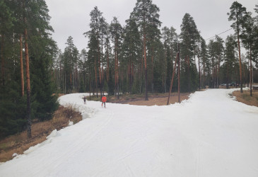 latua lumettoman metsän keskellä.