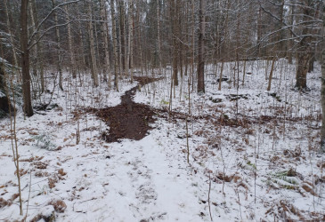 Peukaloistenkujan alapuolella olevalla polulla on vettä.