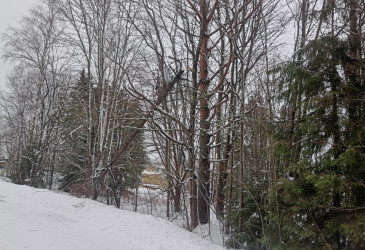 Katkennut pylväs Asemäentiellä.