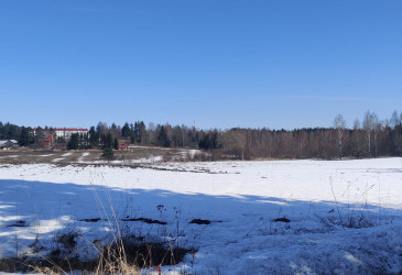 Peltomaisema.