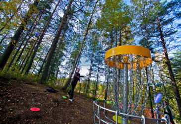 Frisbeegolfkori.