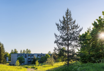 Sininen taivas, kerrostalo, puita ja ruohikkoa.