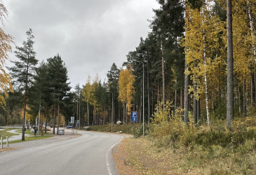 Lammassaaren tie, satama-aluetta ja tien reunaa