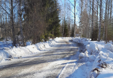 Metsää kevyenliikenteenväylän molemmin puolin keväthankien aikana.