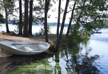 Vene sinileväisen järven rannalla.
