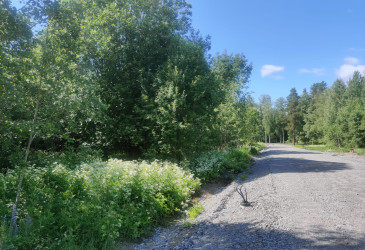 Katu ja tontti kesäisessä maisemassa.