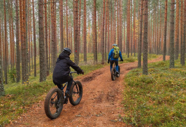 Pyöräilyä metsäpolulla.