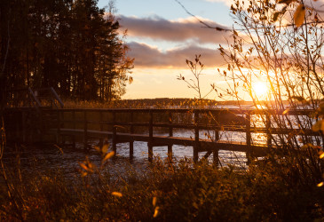 Malonsaaren silta.