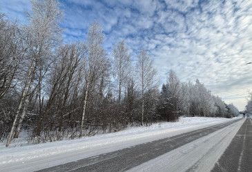 Talvinen katu ja metsää.