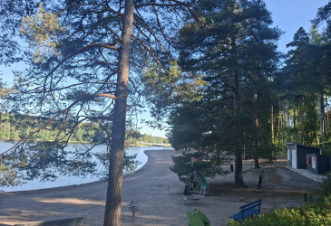 Aurinkoinen hiekkaranta metsän reunassa järven rannalla. Korkeat männyt varjostavat rantaa, ja vesi näkyy vasemmalla. Etualalla on leikkipaikan välineitä, kuten jousikeinu ja vihreä sammakon muotoinen istuin, sekä penkkejä. Oikeassa reunassa on pieni rakennus ja hiekkapolku, joka kulkee puiden läpi.
