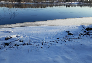 Vuoksen ranta talvella