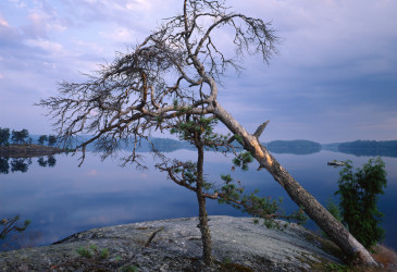 Kuva maisemasta Saimaalla aamuyöllä