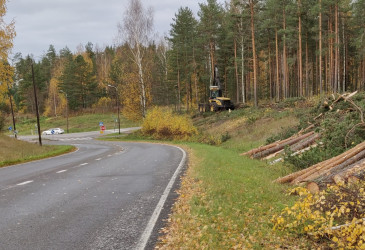 Asemäentien reunasta kaadettu puita, metsäkone työssä.