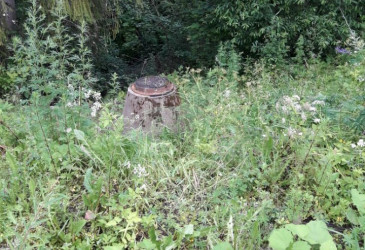 Puron kokoinen Hallikkaanjoki kasvillisuuden keskellä