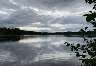 Jokimaisema.