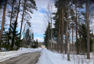 Tie, hankea ja metsää.