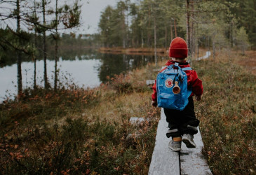Lapsi kävelee pitkospuita pitkin reppu selässä suon reunalla syksyllä, VisitFinland.