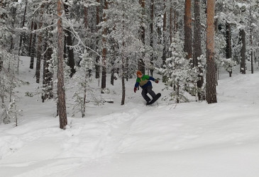 Lumilautailija metsässä.