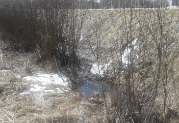 Savikannatien putkirikko