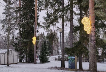 Kaksi valaistua nallea kiinnitetty mäntyihin.