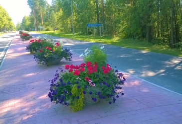 Kukkaruukut Vuoksenniskantiellä
