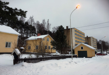 Vuoksenniskan Näreharjua