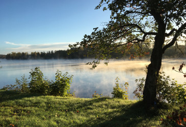 Kesäinen maisema Vuokselta.